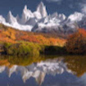 Meet your Posher, Paul